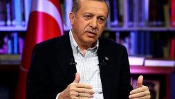 ardoghan