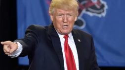 donald