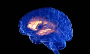 brain-69c16680b91de6a25808037b
